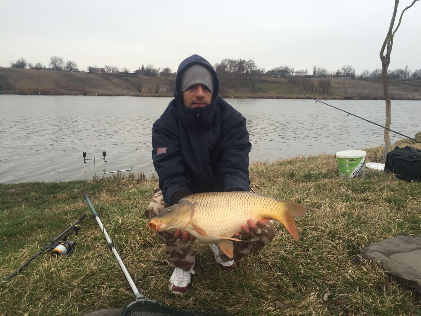 MV2 27-02-2016 - img-20160227-wa0016.jpg